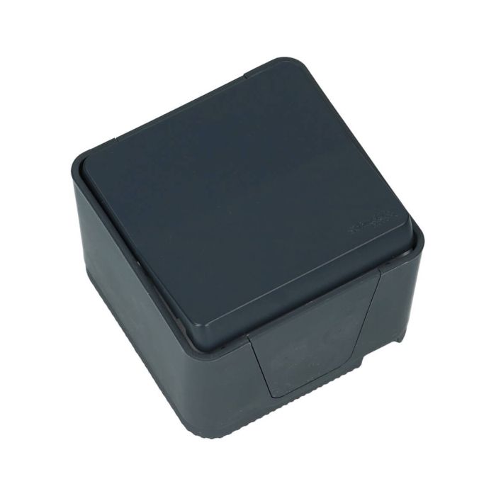 Schneider Electric Mureva IP55 2 polig schakelaar grijs